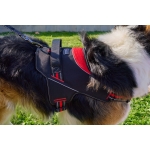 Freedog Arnés Para Perros Strong Gris