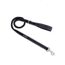 Freedog Correa Elástica Para Perros Color Negro