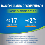 Pack Dentalife de snacks dentales para gatos de salmón