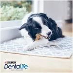 Dentalife Dog Medium Para Perros Medianos