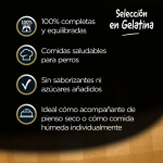 Cesar Multipack Selección en Gelatina Comida Húmeda Para Perros con Pollo y Buey