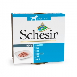 Schesir Comida Húmeda para Perros Filetes de Pollo en Gelatina