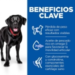Hills Science Plan Perfect Weight & Active Mobility Large Pienso para Perros Grandes con Pollo