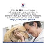 Hills Science Plan Hypoallergenic Large Pienso Para Perros Grandes con Salmón