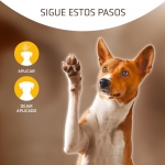 Artero X-Top Polvo Hemostático Para Perros y Gatos