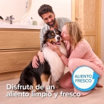Beaphar Kit Dental Cepillo Doble + Pasta De Dientes Para Perros y Gatos