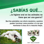 Dental-B Barritas dentales para perros