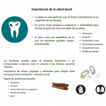 Moments Snack Dental Mini Medium Snack para Perros Pequeños y Medianos