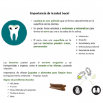 Moments Snack Dental Maxi Giant Snack para Perros Grandes y Gigantes