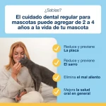 Divasa-Plaque off Croq para Perro (1)