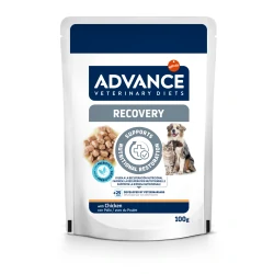 Comida Húmeda para Perros y Gatos en Recuperación Advance Veterinary Diets