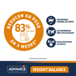 Weight Balance Obesity