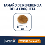 Weight Balance Obesity