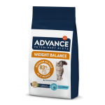 Weight Balance Obesity