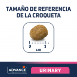 Urinary Canine (6)