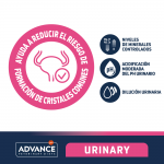 Urinary Canine (6)