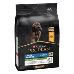 Puppy Large Robust