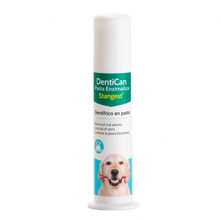 Stangest-Dentican Pasta Dental (1)