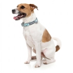 Fuzzyard Collar Para Perros Mint Fizz