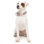 Fuzzyard Collar Para Perros Pink Lemonade