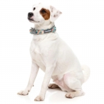 Fuzzyard Collar Para Perros Carioca