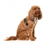 Fuzzyard Arnés Para Perros en H Carioca