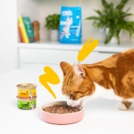 Edgard & Cooper Comida Húmeda para Gatos Trocitos en Salsa Pavo y Pollo