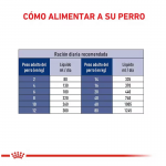 Canine Renal Liquido