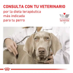 Canine Renal Liquido