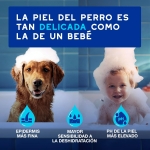Douxo Skin & Coat Spa Mousse Limpieza Express para Perros