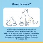 Divasa-Plaque off Higiene Dental (1)