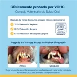 Divasa-Plaque off Higiene Dental (1)