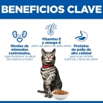Feline Urinary Sterilised (1)