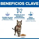 Hills-SP Feline Adult Perfect Weight (1)
