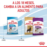 Giant Junior Razas Gigantes (16)