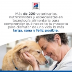 Pienso Hills Science Plan Adult Perfect Digestion para perros