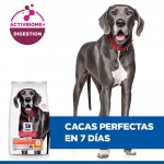 Hills Science Plan Adult Perfect Digestion Large para perros