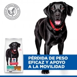 Hills Science Plan Perfect Weight & Active Mobility Large Pienso para Perros Grandes con Pollo