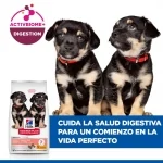 Hills Science Plan Perfect Digestion Puppy Medium pienso para cachorros sabor pollo