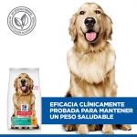 SP Adult Perfect Weight Razas Grandes (1)