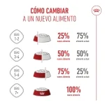 Pack 12 - Royal Canin Mother & Babycat Comida Húmeda Para Gatitos Y Gatas Lactantes 195gr 