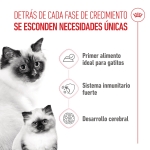Pack 12 - Royal Canin Mother & Babycat Comida Húmeda Para Gatitos Y Gatas Lactantes 195gr 