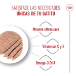 Pack 12 - Royal Canin Mother & Babycat Comida Húmeda Para Gatitos Y Gatas Lactantes 195gr 