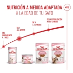 Pack 12 - Royal Canin Mother & Babycat Comida Húmeda Para Gatitos Y Gatas Lactantes 195gr 