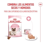 Pack 12 - Royal Canin Mother & Babycat Comida Húmeda Para Gatitos Y Gatas Lactantes 195gr 