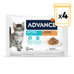 Comida Húmeda con Pollo para Gatitos Jóvenes Advance