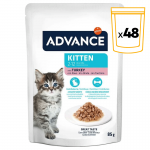 Comida Húmeda con Pavo para Gatitos Jóvenes Advance