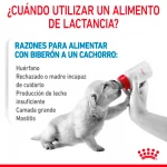 Royal Canin-Leche para cachorros (1)