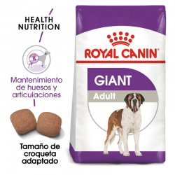 Giant Adulto Razas Gigantes (6)