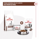 Royal Canin Treats Gastrointestinal Snack para Perros